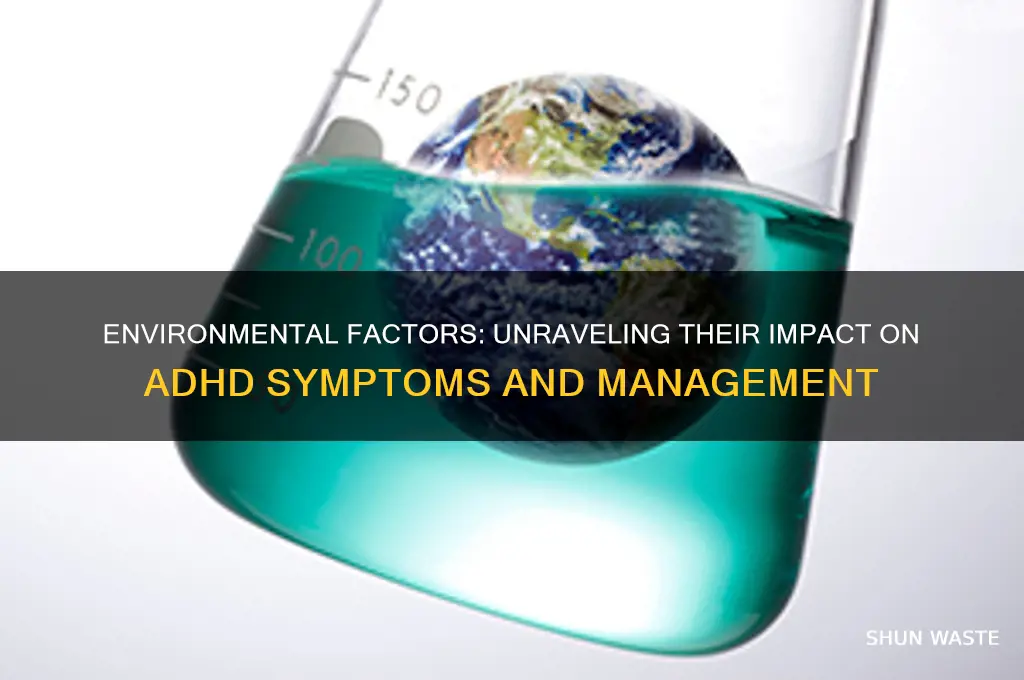 how environment affects adhd symptoms