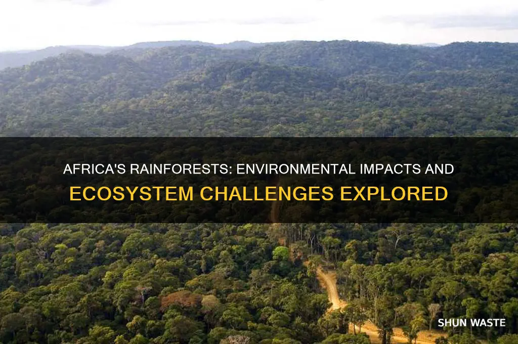 how environment affects africa rainforests