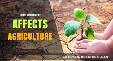 Environmental Impact on Agriculture: Factors Shaping Crop Yields and Farming Practices