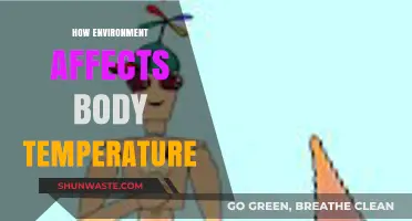 Environmental Factors and Their Impact on Human Body Temperature Regulation