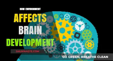 Environmental Influences on Brain Development: Shaping Minds from Early On
