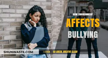 Environmental Factors Shaping Bullying Behavior: Understanding the Impact of Surroundings