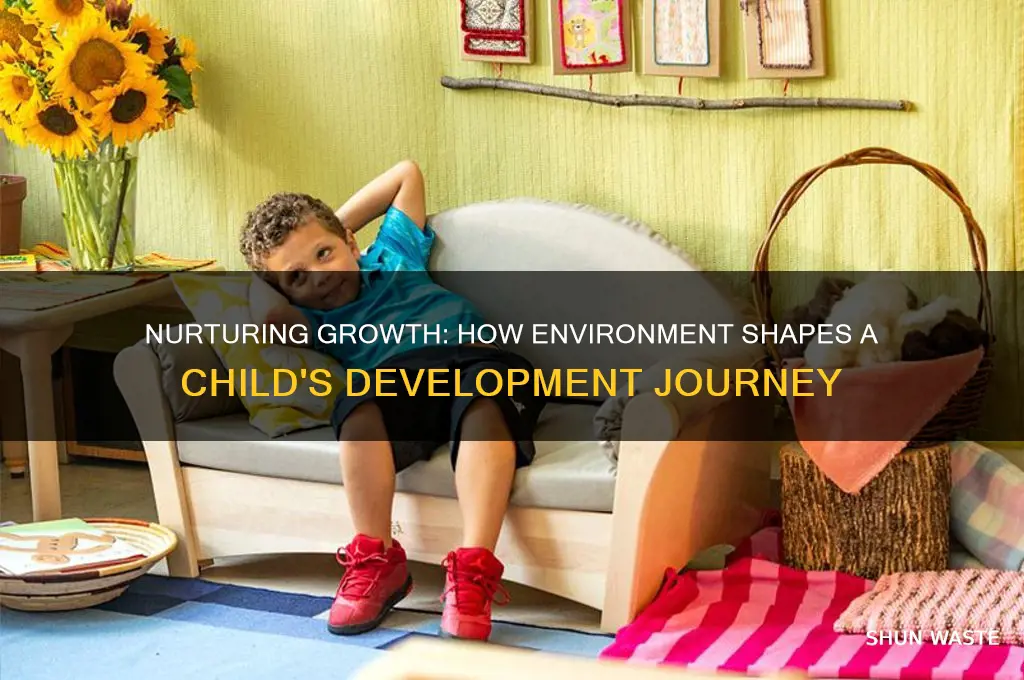 how environment affects child development