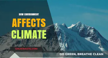 Environmental Factors Shaping Climate: Understanding the Complex Interplay