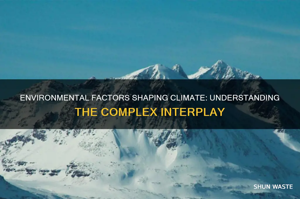 how environment affects climate