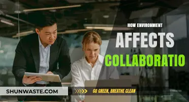 How Environment Shapes Collaboration: Insights for Productive Team Dynamics
