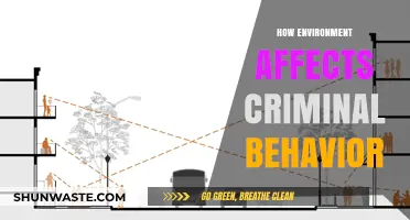 Environmental Influences on Crime: Unraveling the Complex Relationship