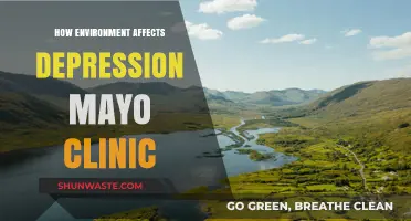 Environmental Factors and Depression: Insights from Mayo Clinic Research