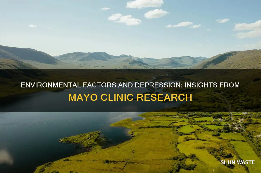 how environment affects depression mayo clinic
