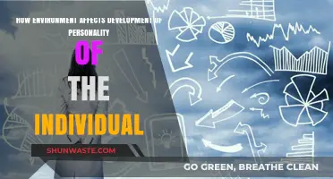 Environment's Impact: Shaping Individual Personality Development and Traits