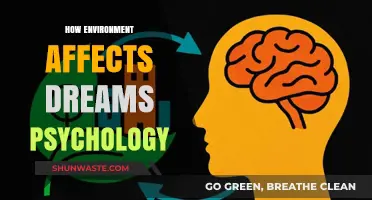 Environmental Influences on Dreams: Unraveling the Psychology of Subconscious Scenery