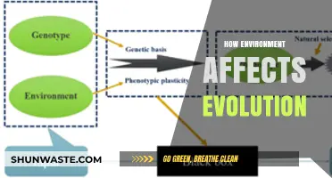 Environmental Forces Shaping Evolution: Unraveling Nature's Impact on Species Adaptation