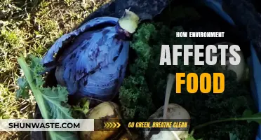 How Environmental Factors Shape the Food We Eat and Grow