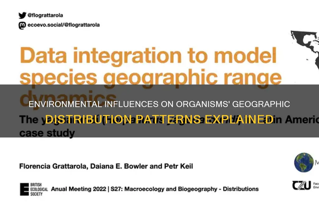 how environment affects geographic pattern of an organism