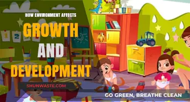 Environmental Impact: Shaping Growth and Development in Meaningful Ways