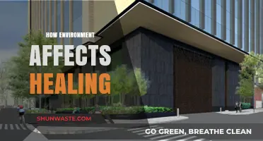 Healing Spaces: How Environment Influences Recovery and Well-Being