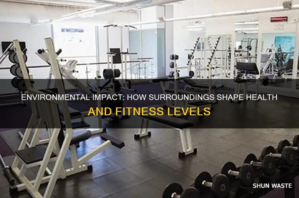 how environment affects health and fitness