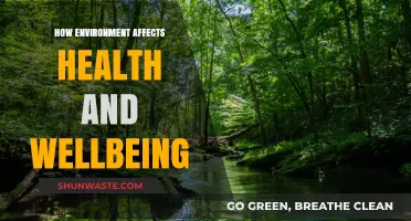 Environment's Impact: Uncovering Nature's Role in Health and Wellbeing