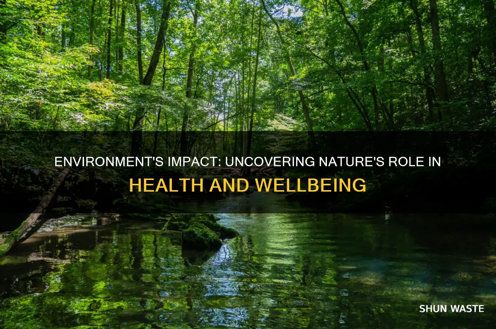 how environment affects health and wellbeing