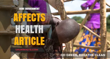 Environmental Impact on Health: Exploring the Vital Connection for Well-Being