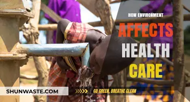 Environmental Impact on Health: Exploring the Connection and Consequences