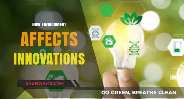 Environmental Impact: Shaping Innovation Through Climate and Cultural Contexts