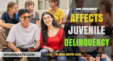 Environmental Factors Shaping Youth Behavior: Understanding Juvenile Delinquency Causes