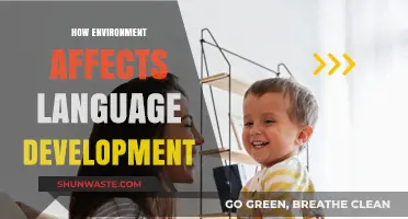 Environmental Influences on Language Development: Shaping Communication Skills