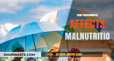 Environmental Factors and Their Impact on Global Malnutrition Crisis