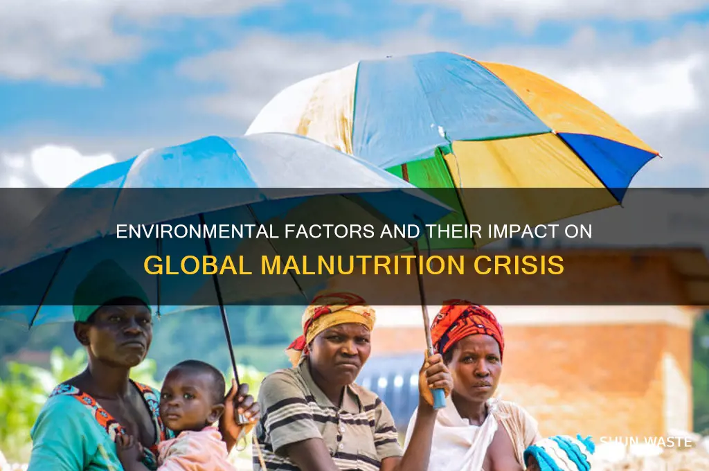 how environment affects malnutrition