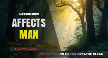 How Our Surroundings Shape Humanity: Exploring Environment's Impact on Man