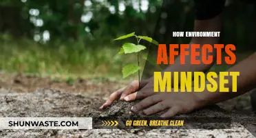 Surroundings Shape Thoughts: How Environment Influences Your Mindset