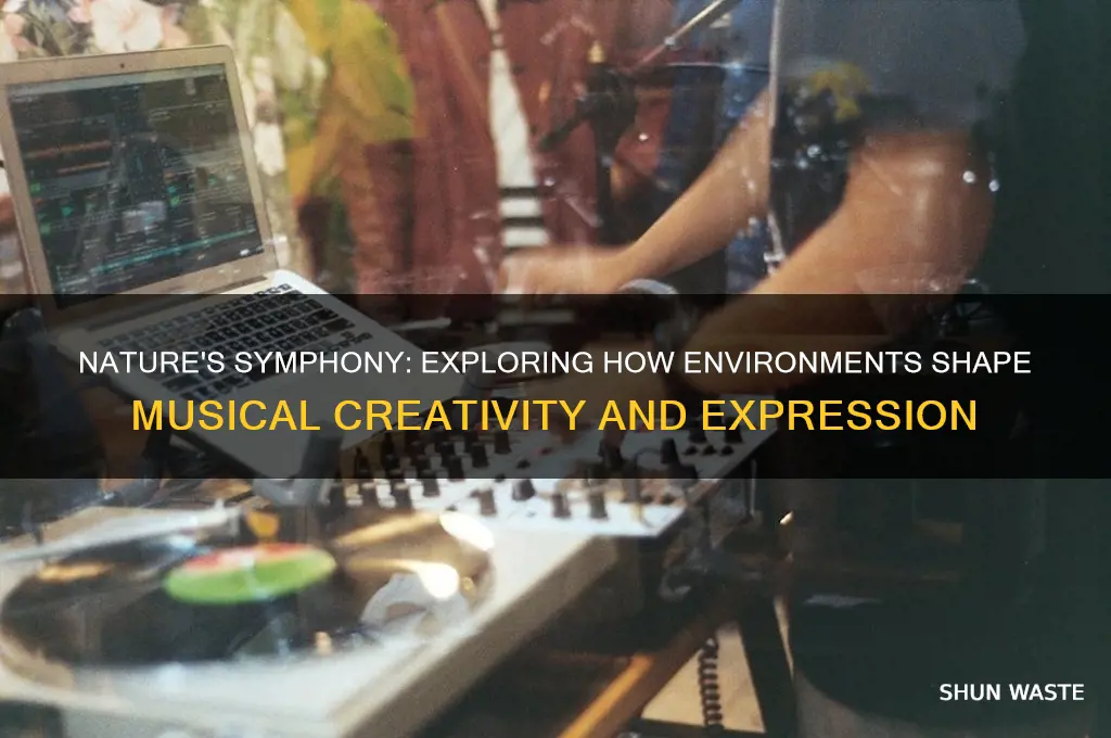 how environment affects music