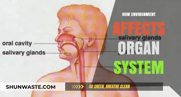 Environmental Impact on Organ Systems: Unraveling the Complex Connections
