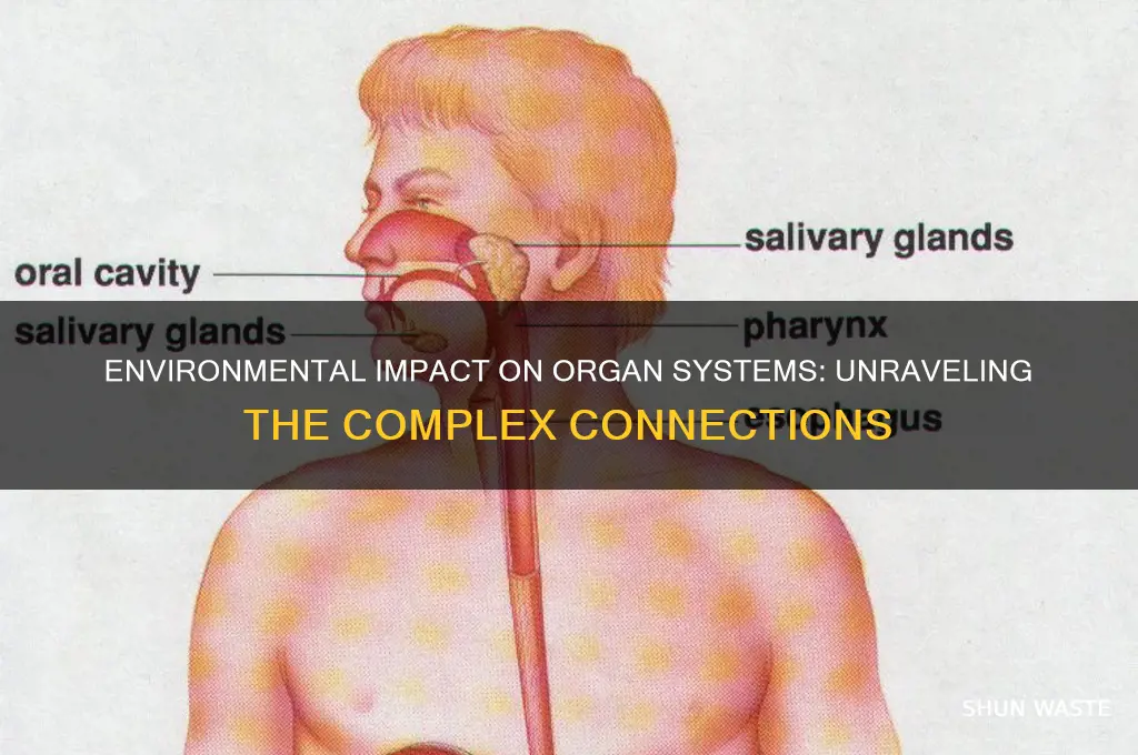 how environment affects organ system