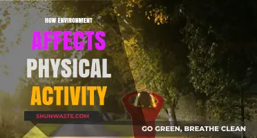 Environmental Impact: Shaping Physical Activity Levels and Healthy Lifestyles