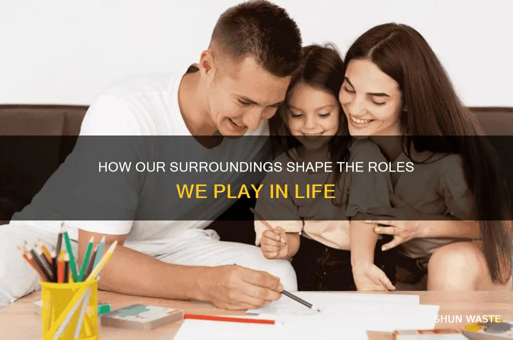 how environment affects roles we play