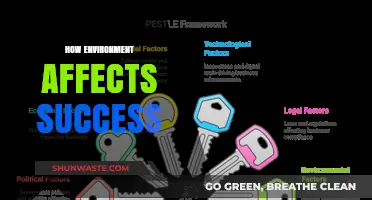 Environment's Impact: Shaping Success Through Surroundings and Influences