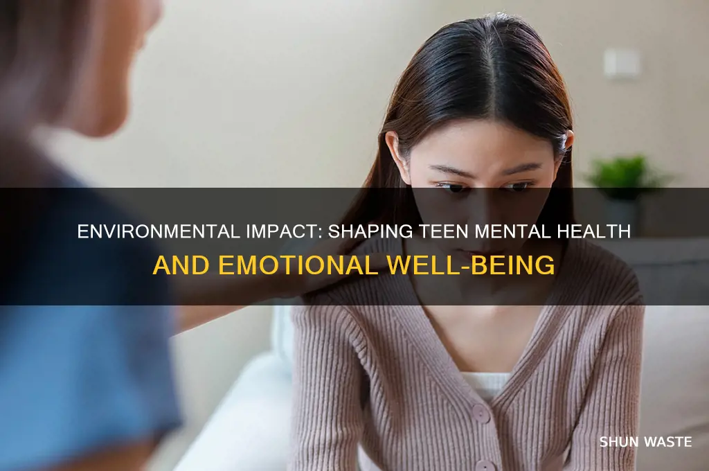 how environment affects teen mental health