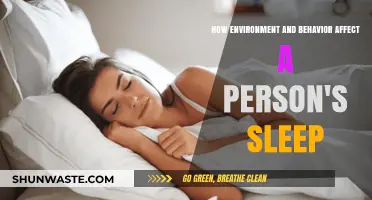 Environmental Factors and Daily Habits: Unraveling Their Impact on Sleep Quality