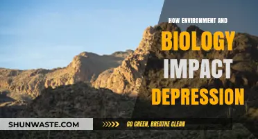 Environmental and Biological Factors: Unraveling Their Complex Role in Depression