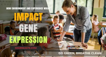 Environment, Experience, and Genes: Unraveling the Epigenetic Connection