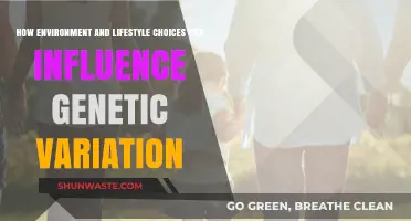 Environment and Lifestyle: Unlocking the Secrets of Genetic Variation