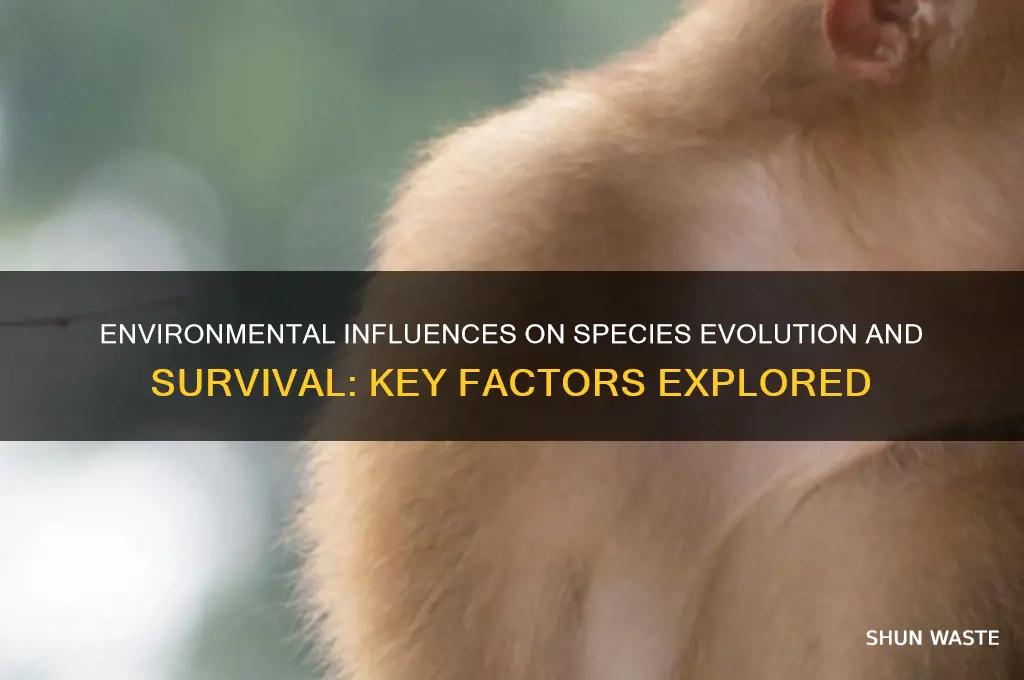 how environment can affect a species evbaltion ansd surival