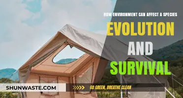 Environmental Shifts: Shaping Species Evolution and Survival Strategies