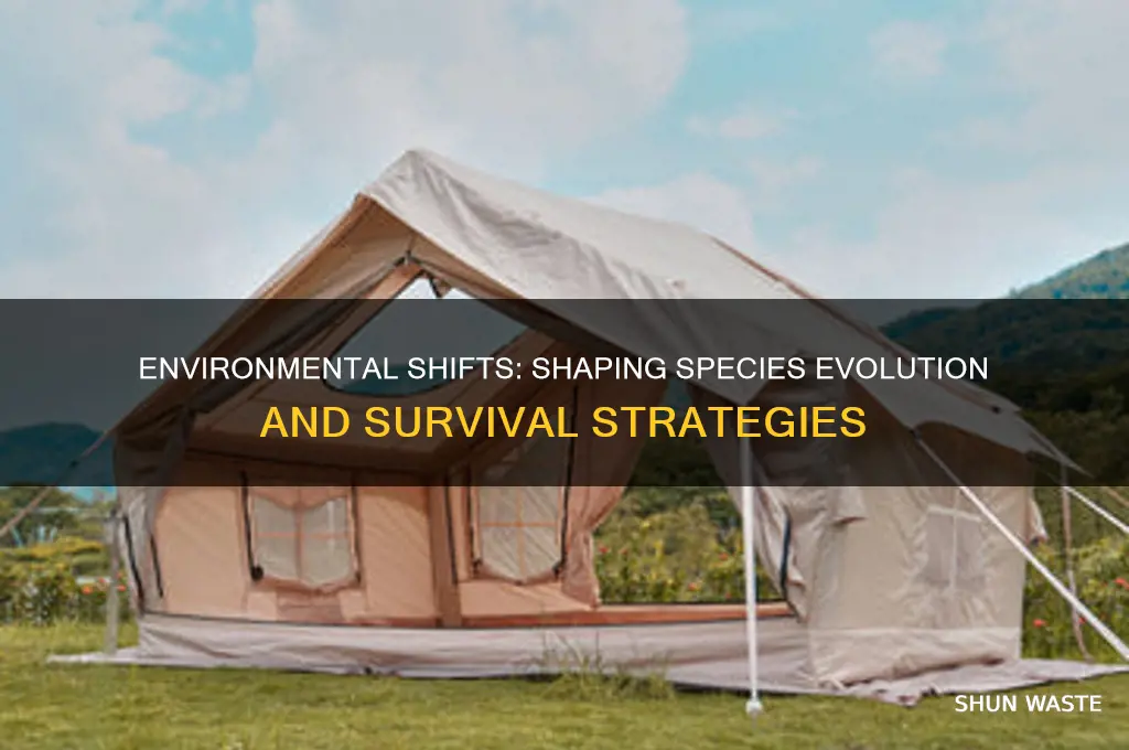 how environment can affect a species evolution and survival