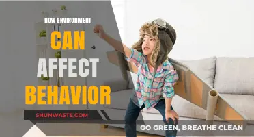 Environmental Influences: Shaping Human Behavior and Daily Decision-Making Patterns
