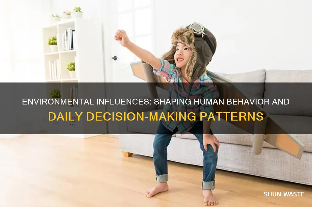 how environment can affect behavior