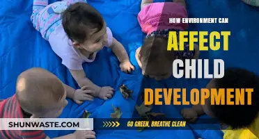 Nurturing Growth: How Environment Shapes Child Development and Future Success