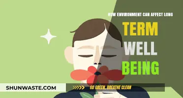 Environmental Impacts on Long-Term Well-Being: Nurturing Health Through Nature